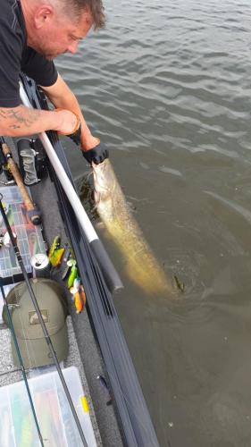 PHOTO-2021-12-02-07-40-35-7-1