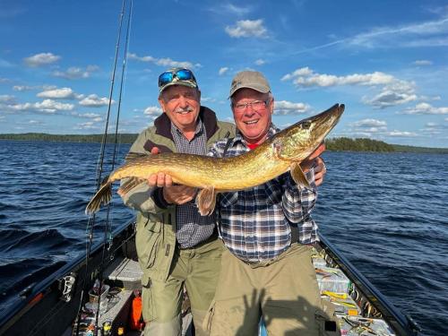 357477340 262198829759696 7880228869643271169 n