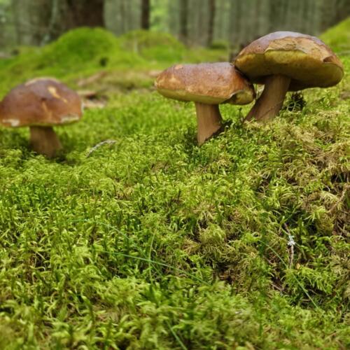 PHOTO-2021-12-02-07-40-32