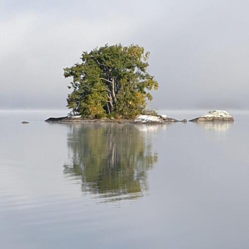 PHOTO-2021-12-02-07-40-33-4